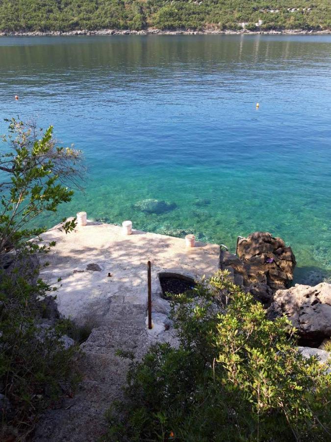 Beaute De La Mer Kotor Exteriör bild